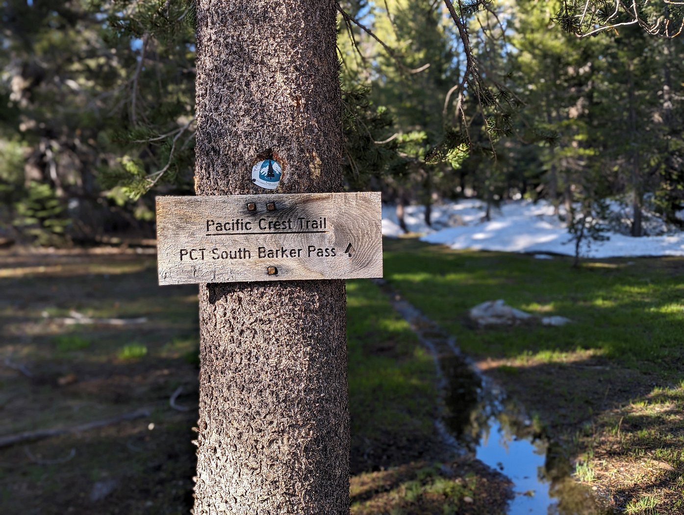 POT PACIFIŠKEGA GREBENA